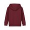 Merch Mini Cruiser 2.0 Hoody Kids Burgundy FC244 - rot