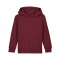 Merch Mini Cruiser 2.0 Hoody Kids Burgundy FC244 - rot