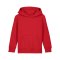 Merch Mini Cruiser 2.0 Hoody Kids Red FC004 - rot