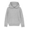 Merch Mini Cruiser Hoody Kids Heather Grey FC250 - grau
