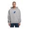 Mister Tee Le Papilloversized Hoody Grau - grau