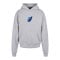 Mister Tee Le Papilloversized Hoody Grau - grau