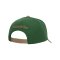 Mitchell and Ness Athletic Arch Pro S Cap Grün - gruen