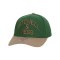 Mitchell and Ness Athletic Arch Pro S Cap Grün - gruen
