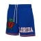 Mitchell and Ness NCAA Team Origins 7 Inch Mesh VNTG Logo University of Florida Short Blau - blau