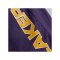 Mitchell and Ness NBA Los Angeles Lakers Team Heritage Woven Short Lila - lila