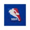 Mitchell and Ness NBA New York Knicks 2010 Short Blau - blau