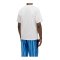 New Balance Graphic T-Shirt Grau - grau