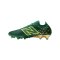 New Balance Tekela Pro Low Laced v4+ FG Grün FEIE Endrick Irmao Grün FEIE - gruen
