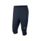 Nike Academy 18 3/4 Pant Blau F451 - blau