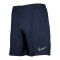 Nike Academy 21 Short Blau Weiss F452 - blau