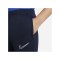 Nike Academy 21 Trainingshose Kids Blau Weiss F451 - blau