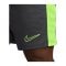 Nike Academy 23 Short Grau F061 - grau