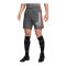 Nike Academy 23 Short Grau F068 - grau