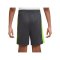 Nike Academy 23 Short Kids Grau F061 - grau