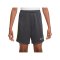 Nike Academy 23 Short Kids Grau F061 - grau