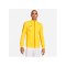 Nike Academy 23 Trainingsjacke Gelb F719 - gelb