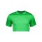 Nike Academy Trainingsshirt Grün F329 - gruen