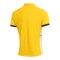 Nike Academy 25 Polo Gelb F719 - gelb