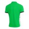 Nike Academy 25 Polo Grün F329 - gruen