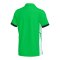 Nike Academy 25 Polo Kids Grün F329 - gruen