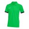 Nike Academy 25 Polo Kids Grün F329 - gruen