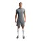 Nike Academy 25 Short Grau F013 - grau