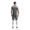Nike Academy 25 Short Grau F013 - grau
