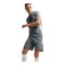 Nike Academy 25 Short Grau F013 - grau