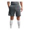 Nike Academy 25 Short Grau F013 - grau