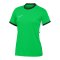 Nike Academy 25 Trainingshirt Damen Grün F329 - gruen