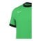 Nike Academy 25 Trainingsshirt Grün F329 - gruen