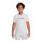 Nike Academy Erling Haaland Trainingshirt Kids Grau F025 - grau