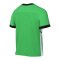 Nike Academy 25 Trainingsshirt Kids Grün F329 - gruen
