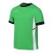 Nike Academy 25 Trainingsshirt Kids Grün F329 - gruen