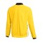 Nike Academy 25 Präsentationsjacke Gelb F719 - gelb