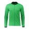 Nike Academy 25 Trainingsjacke Grün F329 - gruen