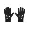 Nike Academy Handschuhe Schwarz F011 - schwarz