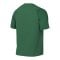 Nike Academy II Trikot Grün F302 - gruen