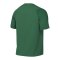 Nike Academy II Trikot Kids Grün F302 - gruen