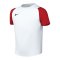 Nike Academy II Trikot Kids Weiß F102 - weiss