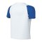 Nike Academy II Trikot Kids Weiß F103 - weiss