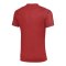 Nike Academy II Trikot Rot F657 - rot