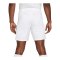 Nike Academy Plus Short Grau F025 - grau