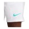Nike Academy Plus Short Grau F025 - grau