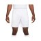 Nike Academy Plus Short Grau F025 - grau