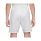 Nike Academy Plus Short Kids Grau F025 - grau