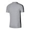 Nike Academy Poloshirt Grau F012 - grau