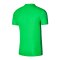 Nike Academy Poloshirt Grün F329 - gruen