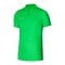 Nike Academy Poloshirt Grün F329 - gruen
